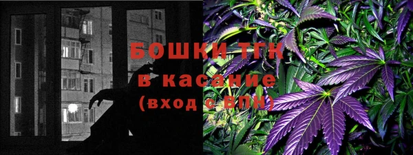 шишки Аркадак
