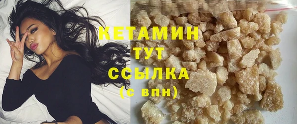шишки Аркадак