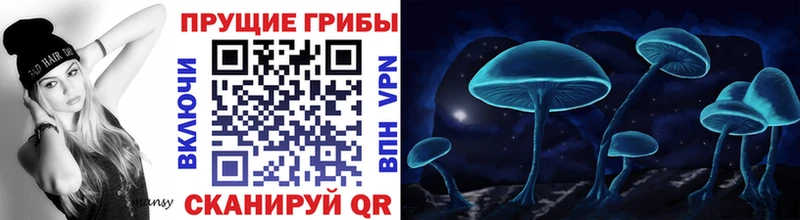blacksprut маркетплейс  Сасово  Псилоцибиновые грибы MAGIC MUSHROOMS 