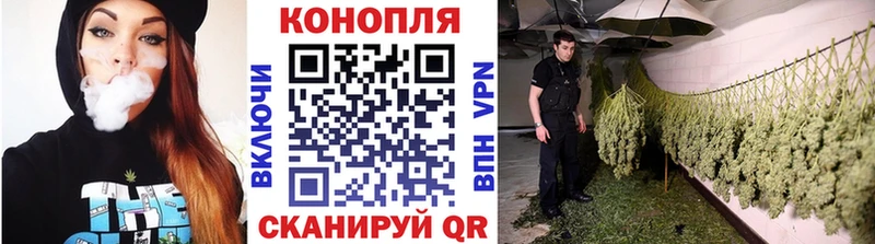 Каннабис Bruce Banner  маркетплейс наркотические препараты  Сасово 